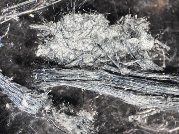 Methods of Asbestos Testing