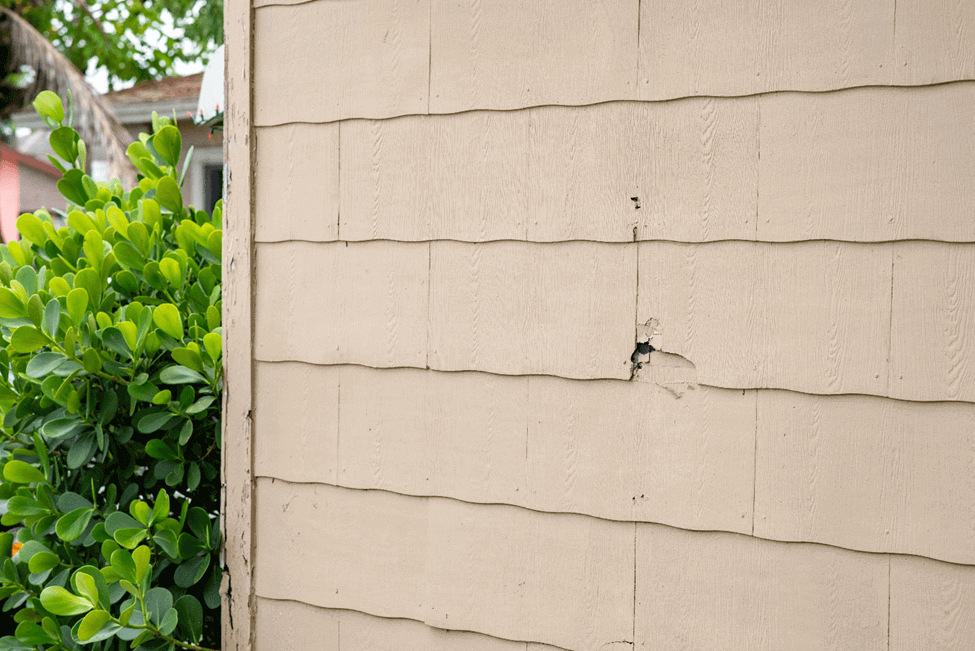 Cost of Asbestos Inspections